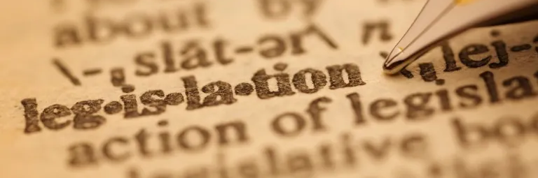 image 2025 11 28 181055960